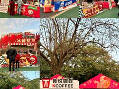 -东莞植物园