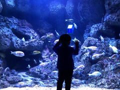 -成都浩海立方海洋公园