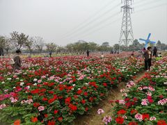-盈香心动乐园