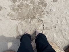 -秦皇岛野生动物园