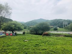 -大水川景区