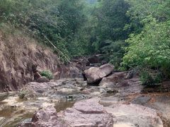 -广州白江湖森林公园