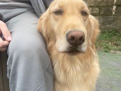 -趣多多宠物公园·宠物训犬学校·宠物寄养