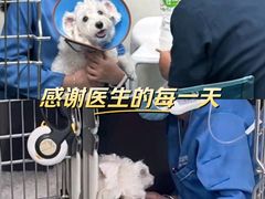 -泰洋动物医院·神经专科·磁共振·CT(天河公园总院)