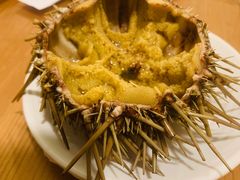 -海胆小馆(东北水饺·春柳店)