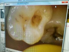 -欧乐口腔(张江店)