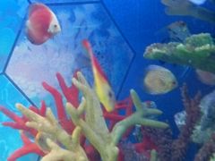 -福州罗源湾海洋世界旅游区