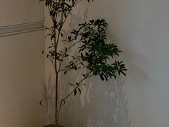 -boundaries籬苑(瑞光创意工厂-贰号院店)