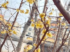 -丰台花园