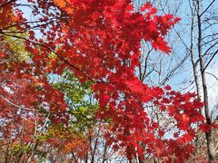 -本溪老边沟风景区