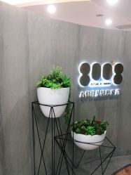 -八佰伴8008星级形象店