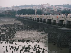 -洛阳桥