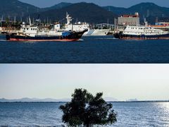 -芒洲湿地公园