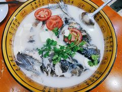 -全乐鱼馆·淳牌有机鱼直营店
