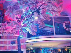 -巴特餐饮6加1音乐餐吧·新疆菜