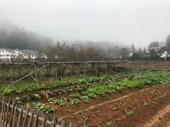 -毛泽东同志旧居