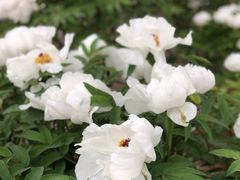景点-潇河湿地公园