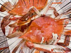 -星龙海鲜(望江东路店)