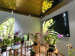 -野象谷景区