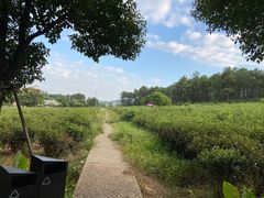 -美的鹭湖探索王国