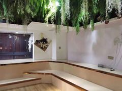 -Husky Go! 哈士奇体验馆·宠物咖啡厅狗咖