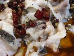 沸腾水煮鱼-金三可市井水煮鱼(金碧园店)