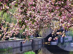 -海棠花溪(元大都城垣遗址公园)