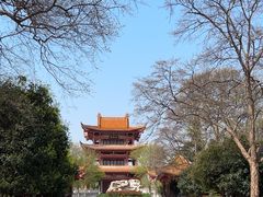 -沙市市中山公园