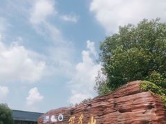 -冠豸山景区