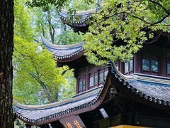 -西园戒幢律寺