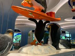 -帝企鹅自助餐厅•儿童岛•真企鹅(长隆企鹅酒店)