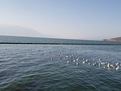 -大理洱海