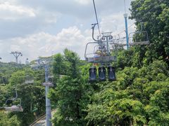 -圣淘沙天际线斜坡滑车