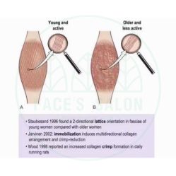 -FACE·日本小颜矫正美容整骨サロン
