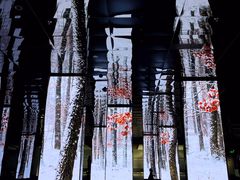 -中国湿地博物馆