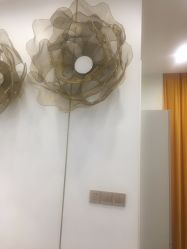 -YESIDO椰岛造型