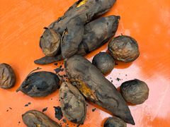 -西部长青自然儿童乐园