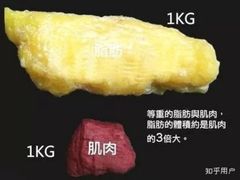 -WEGYMER健萌健身(雅颂居馆)