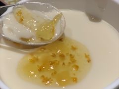 冰镇豆花-聚味瞿记·龙虾堂(坡子街店)