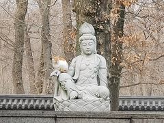 -灵谷景区