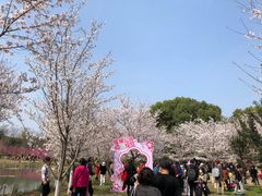 -堤角公园