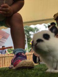 -萌宠亲子动物乐园(槐房万达店)