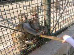 -南京金牛湖风景区