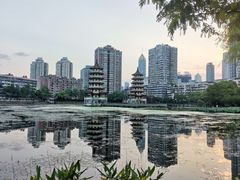 -宝岛公园