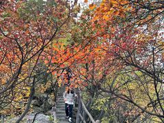 -秦岭终南山世界地质公园翠华山景区