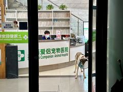 -爱侣宠医·鹦鹉专科·小型哺乳类·异宠专科(灵石路店)