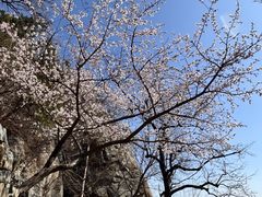 -北京鹫峰国家森林公园