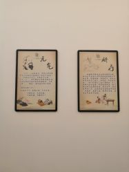 -DEM缔怡美科技美容