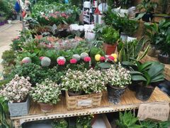 -秦美花卉(天朗·莱茵小城2期店)