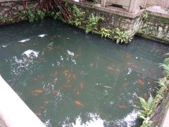 -墨池公园